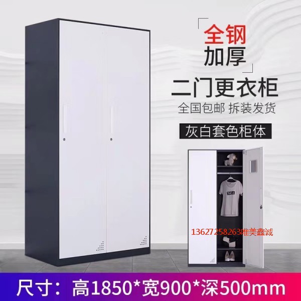 臺州灰白套色二門更衣柜WM-G519